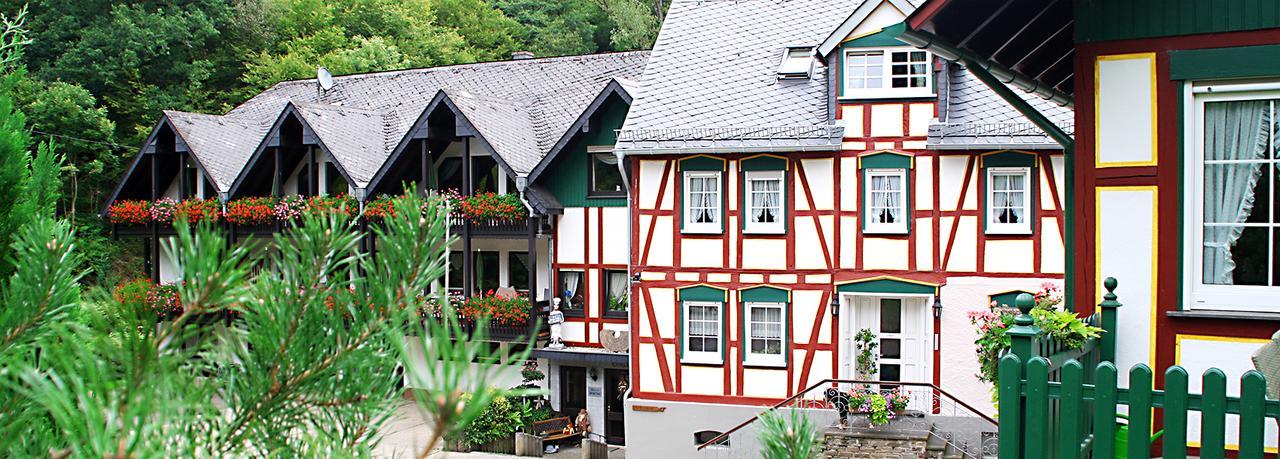 Baunhoeller-Muehle Emmelshausen Ngoại thất bức ảnh